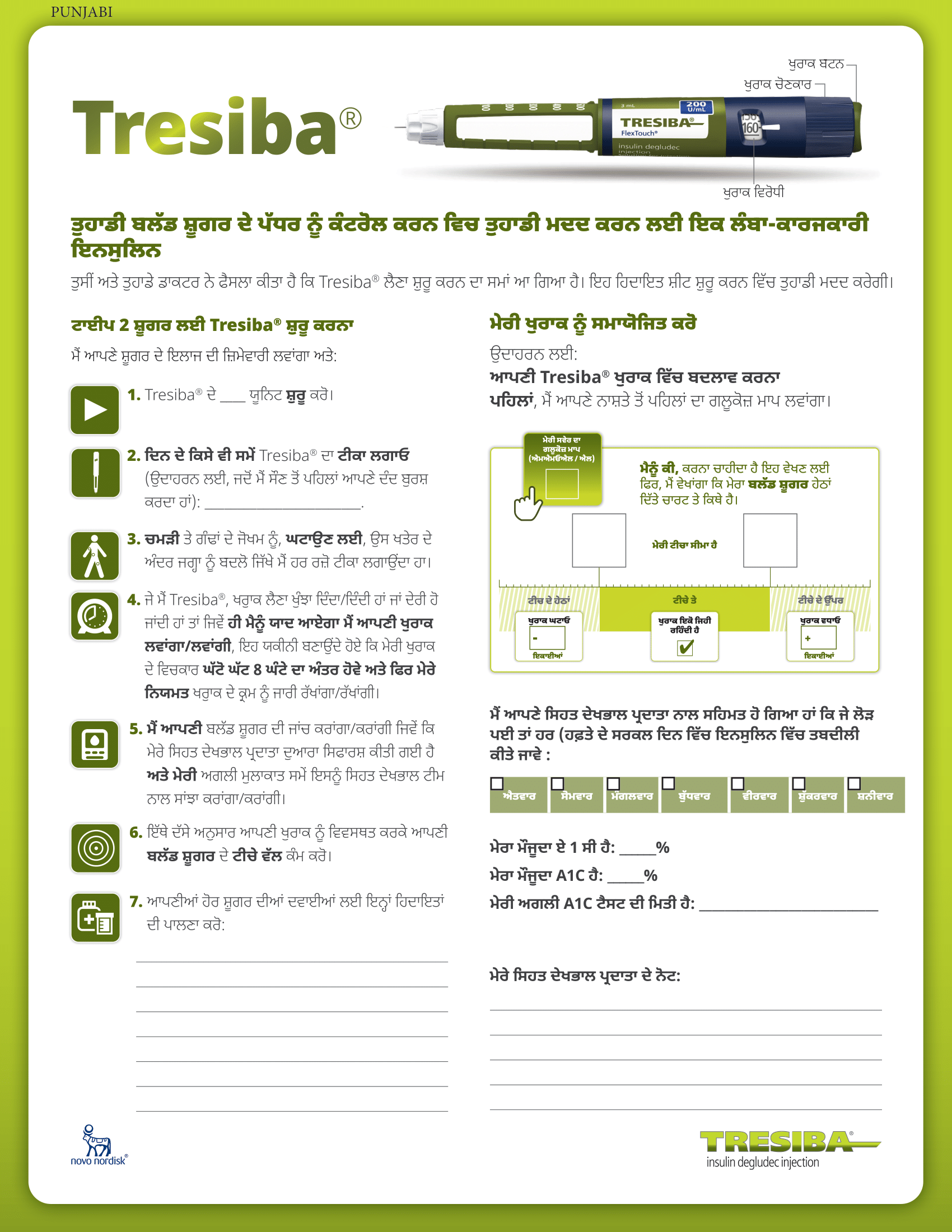 Tresiba Insulin Degludec Patient Dosing And Titration Tool Punjabi Hindi 2022 World Emr