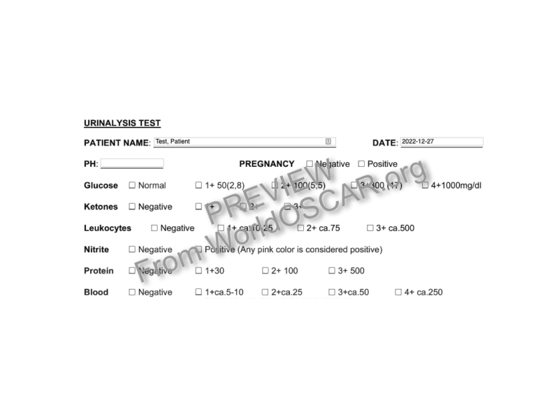Urinalysis Test