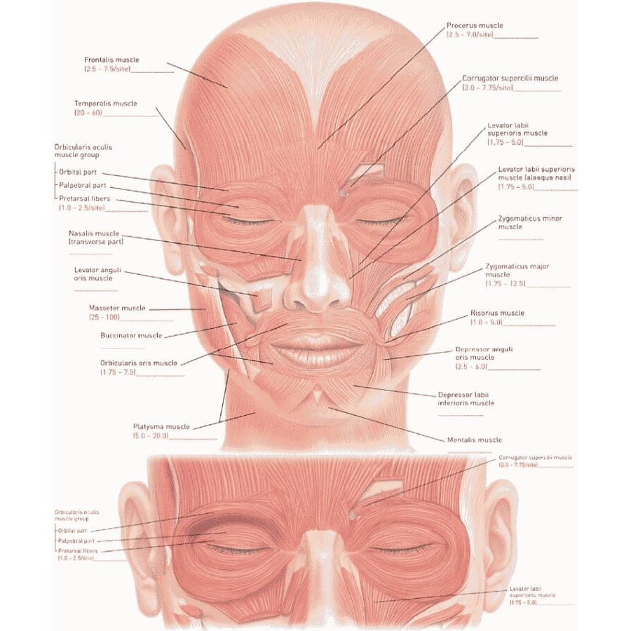 Botox Head